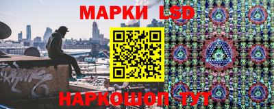 шишки Новозыбков
