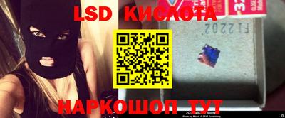 шишки Новозыбков