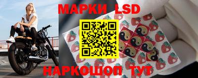 шишки Новозыбков