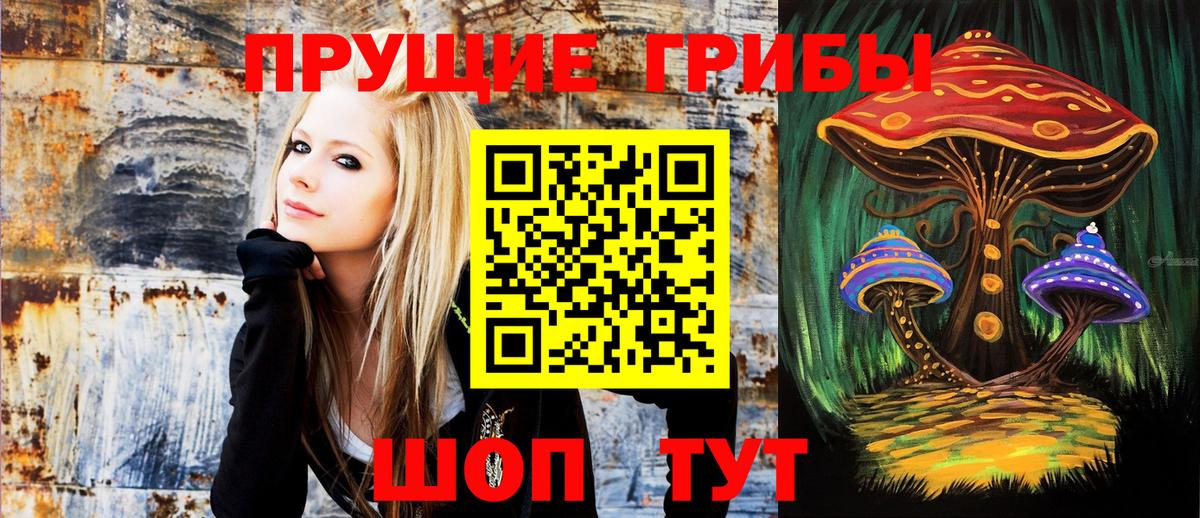 Псилоцибиновые грибы Psilocybine cubensis Тобольск